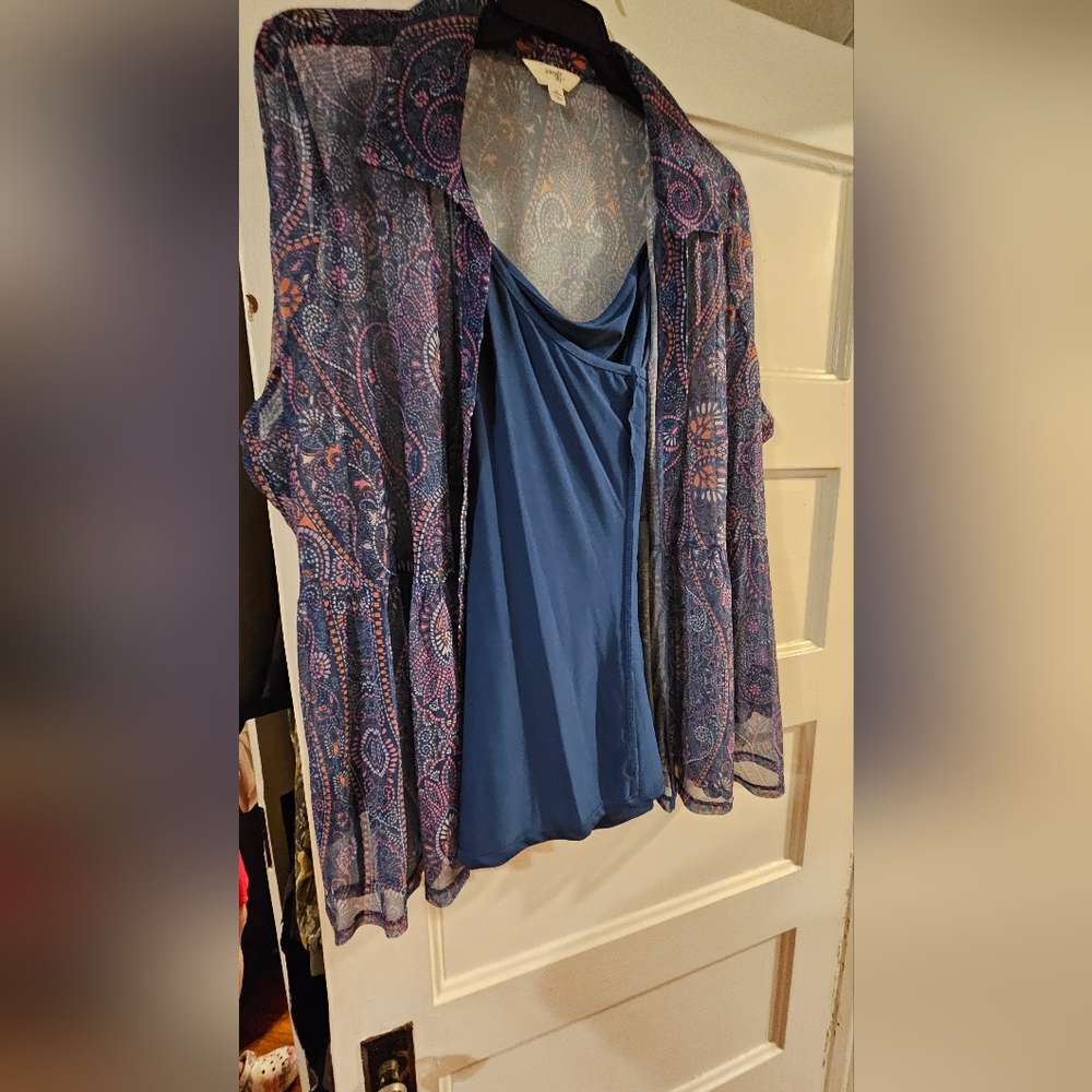 Terra & Sky Paisley Sheer Blouse